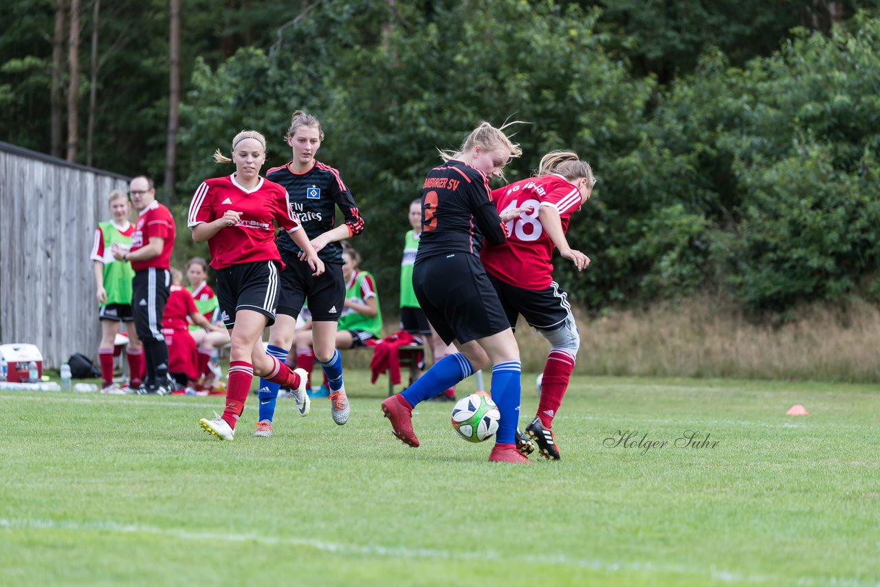 Bild 201 - Frauen SG NieBar - HSV 2 : Ergebnis: 4:3